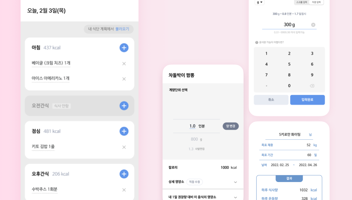 개인 맞춤형 다이어트/건강관리 코칭 챗봇 이미지 3